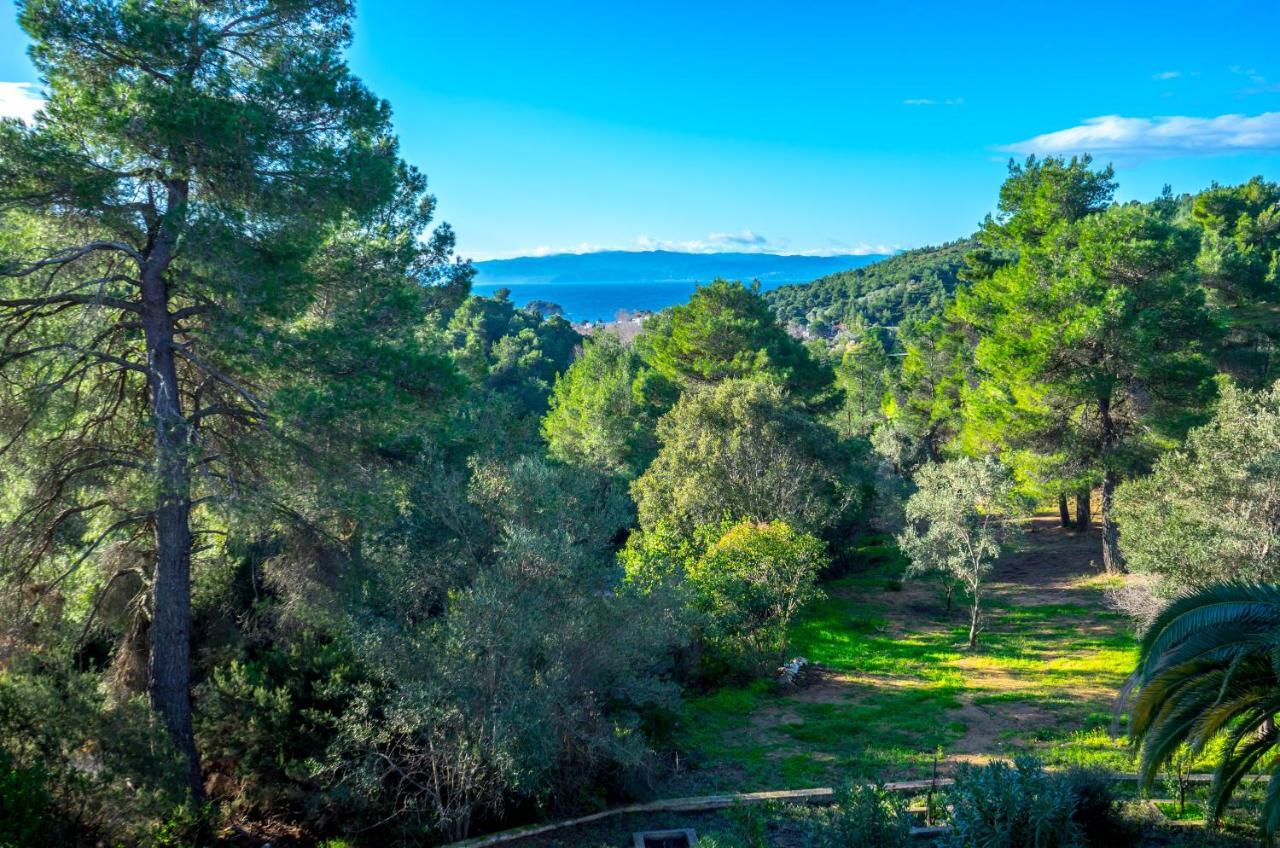 Forest Resort Suites Skiathos Troulos Exterior photo