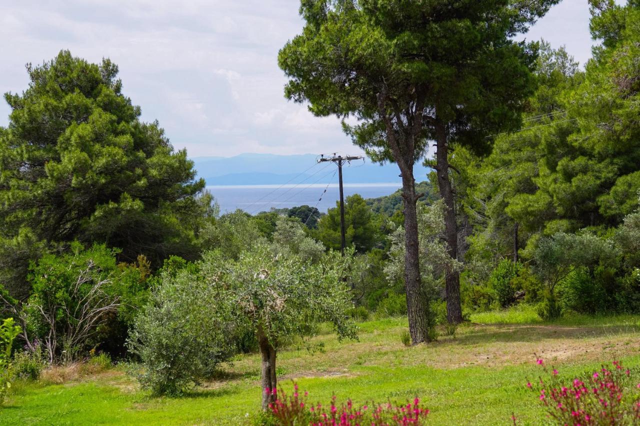 Forest Resort Suites Skiathos Troulos Exterior photo